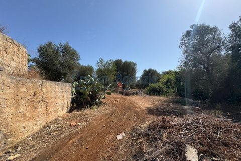 Farm hus i Ostuni, Brindisi, Ostuni - € 85.000 | Ref: 172956 - foto 2